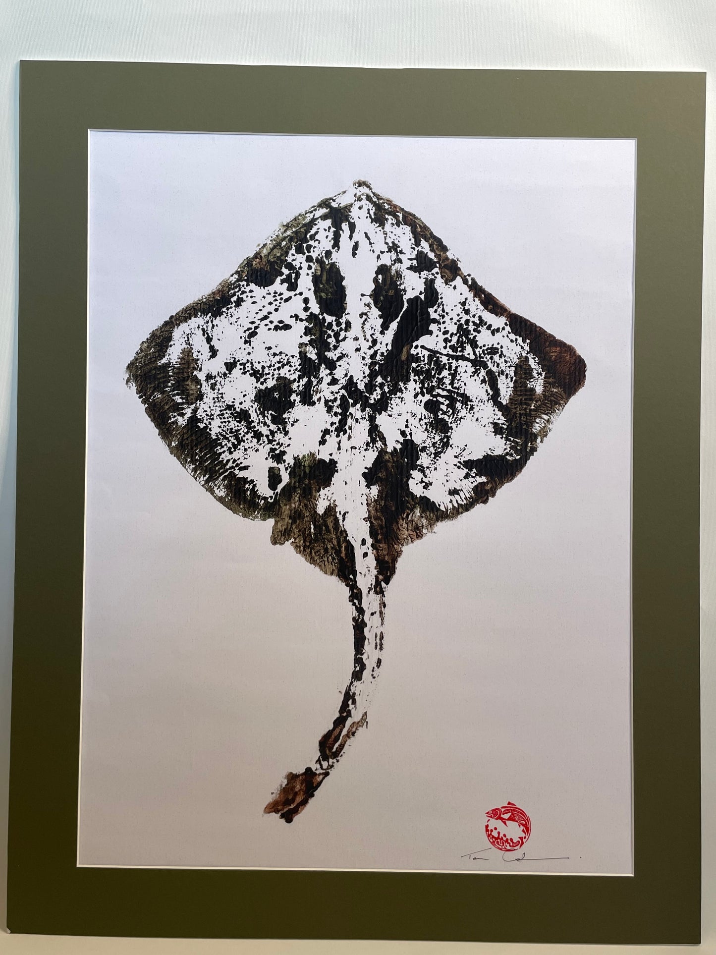 Thornback Ray Mounted