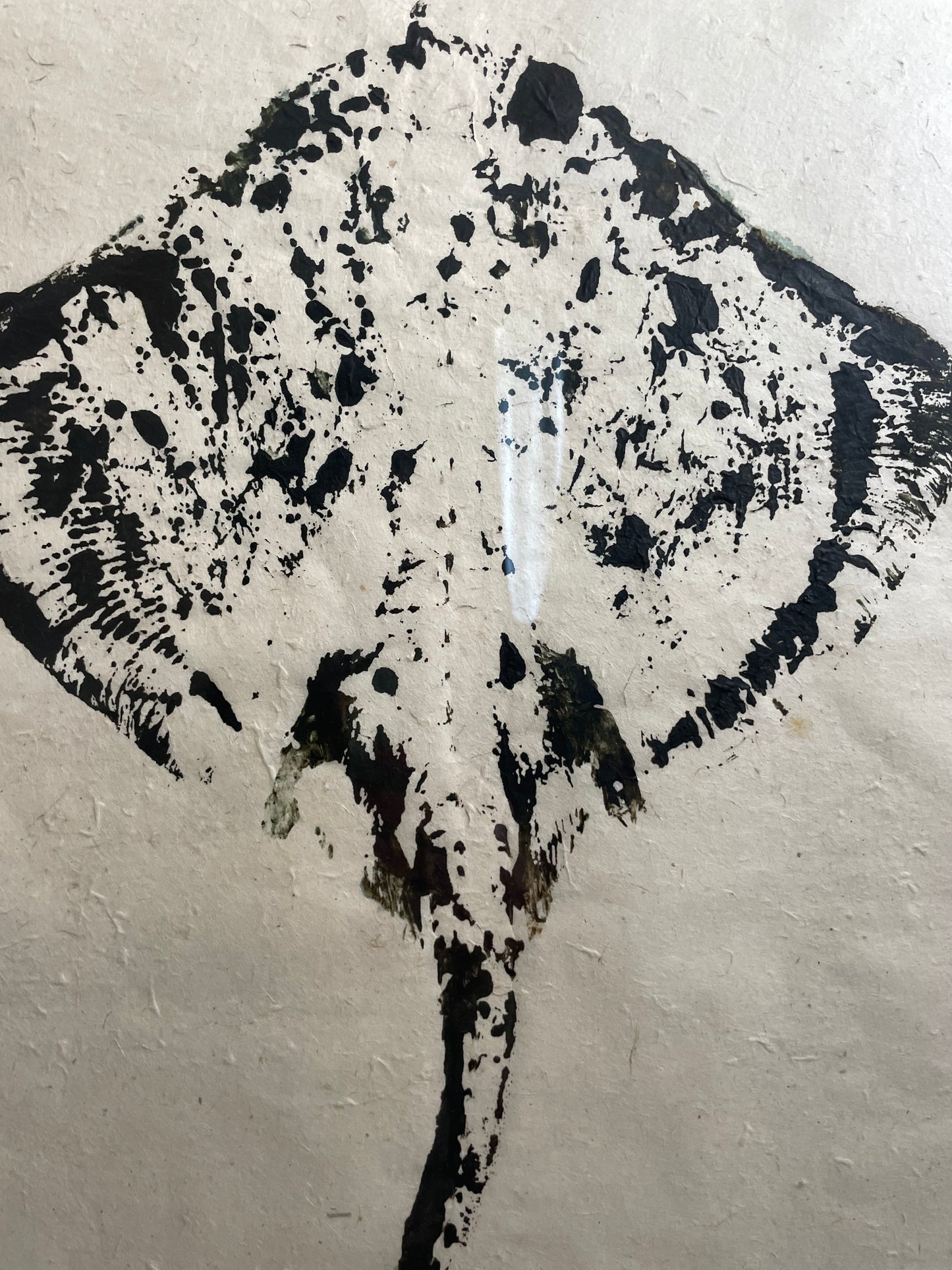 Original Thornback Ray on Handmade Paper