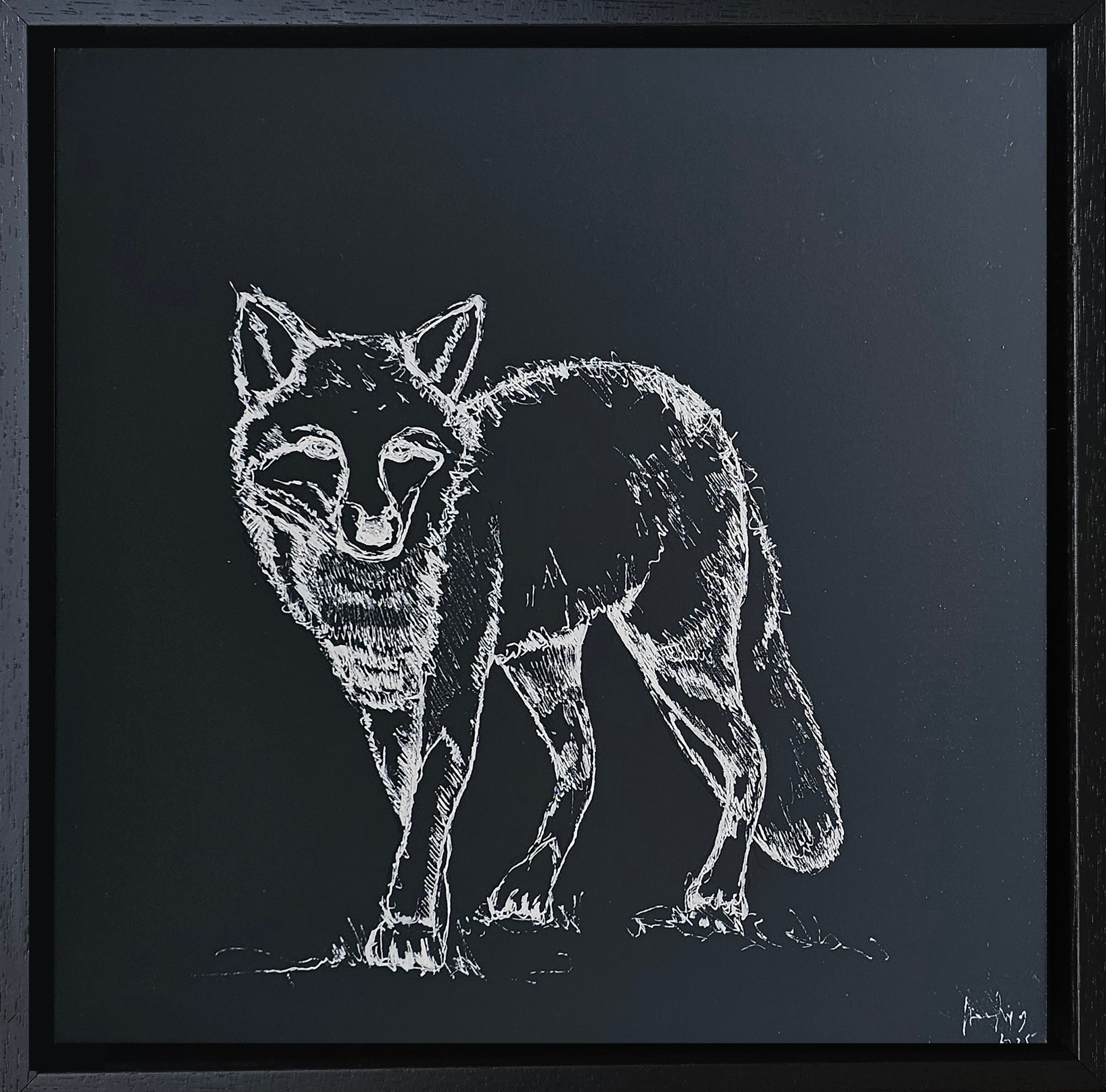 Original white ink drawing of Irish fox on navy background