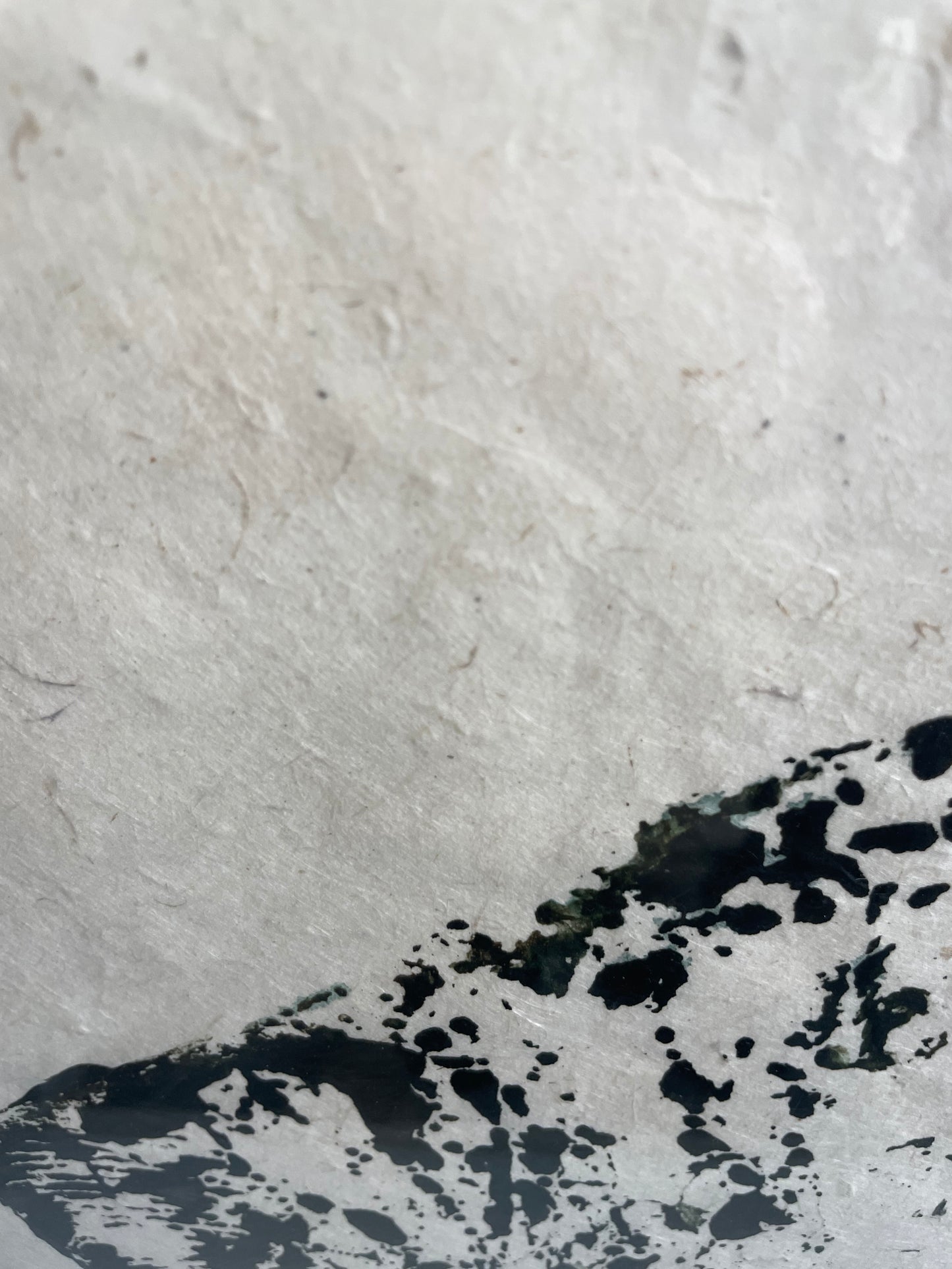 Original Thornback Ray on Handmade Paper
