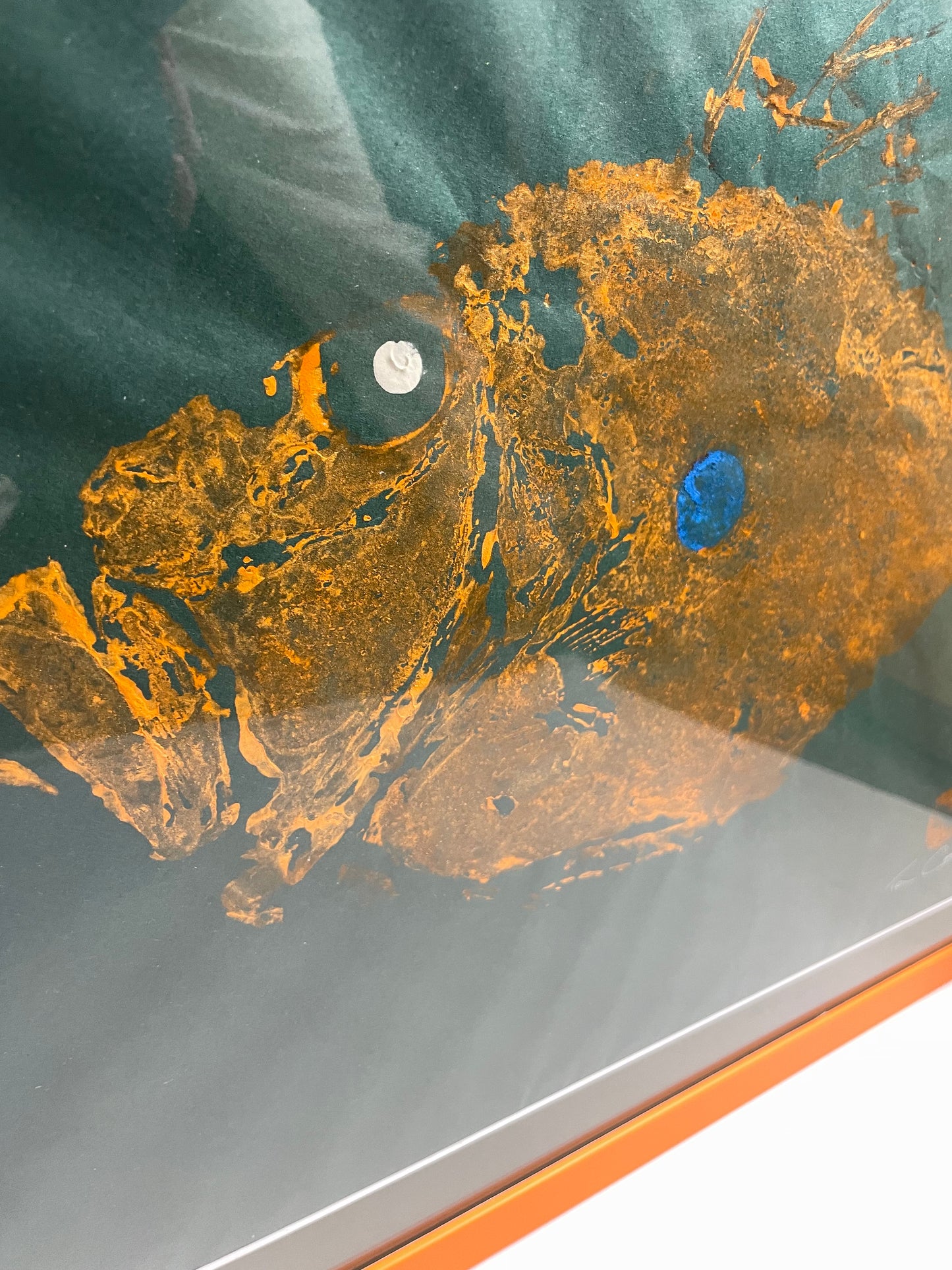 Orange Dory