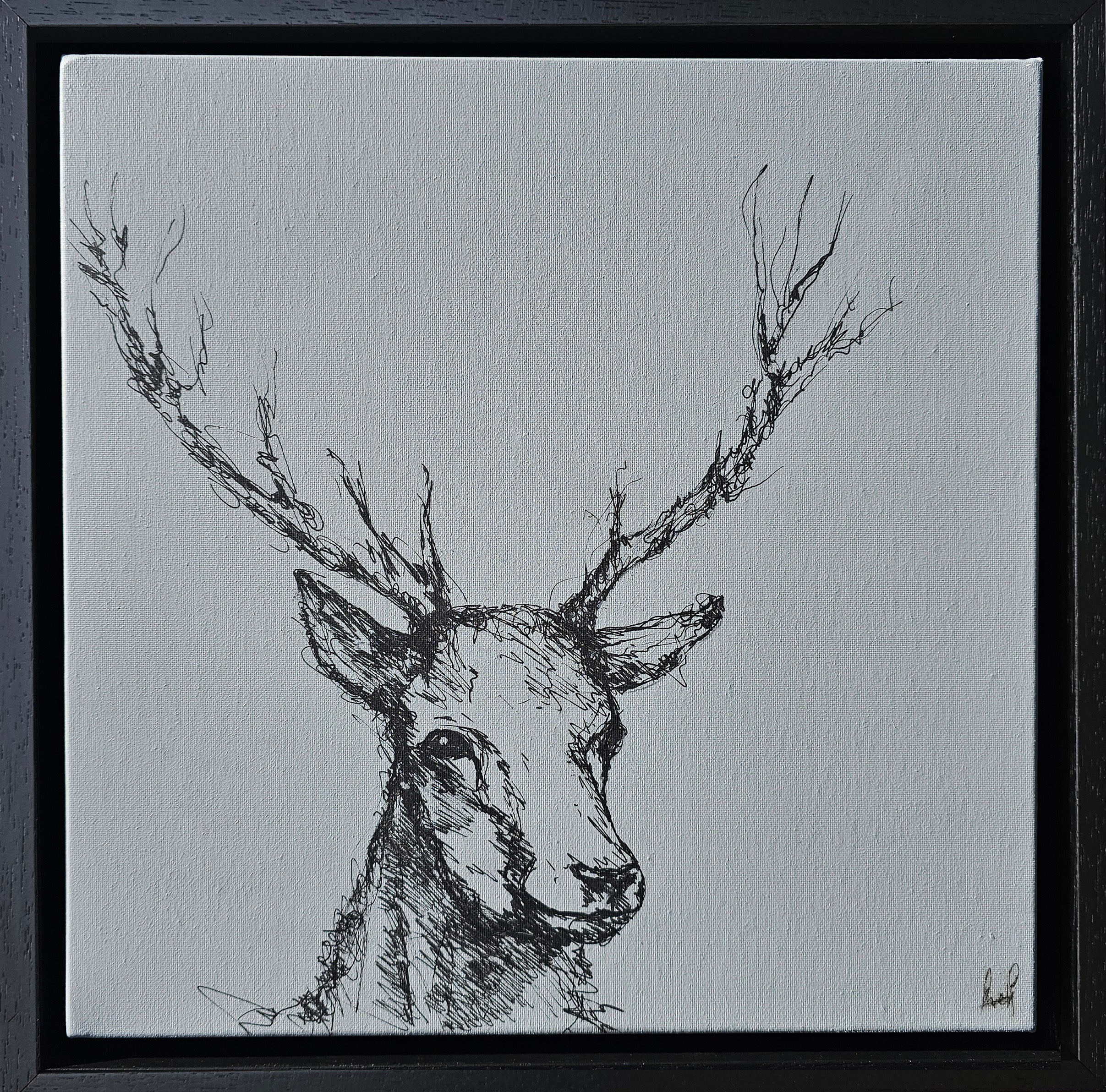 Original deer artwork in black ink on light gray acrylic background, Connemara wildlife art
