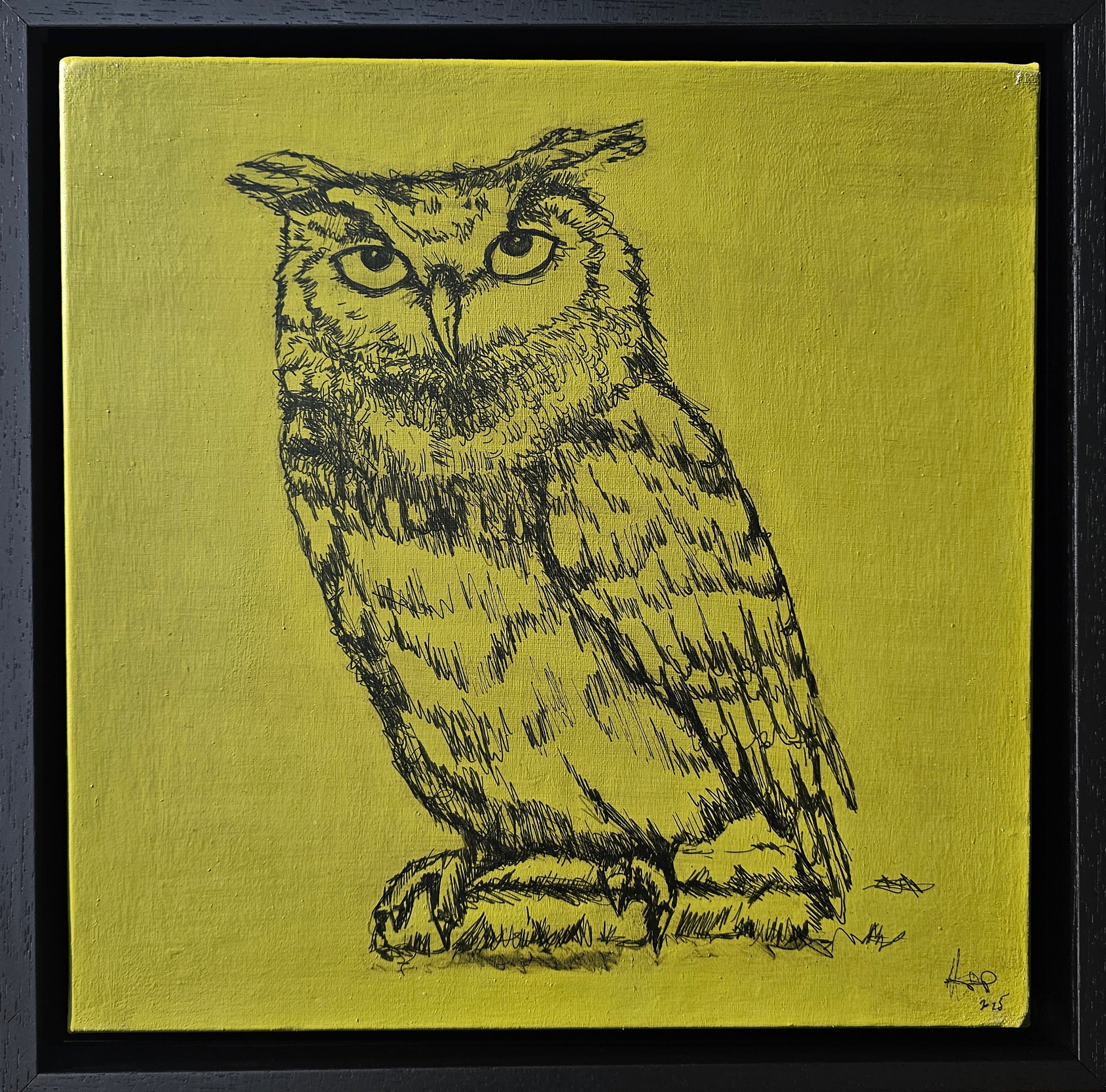 Forest green background in acrylic  of Irish Native Owl in black ink