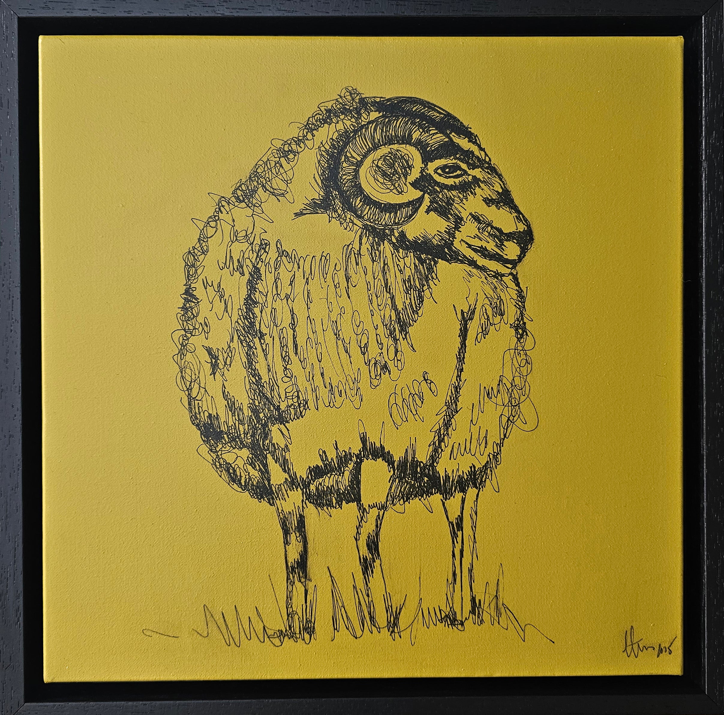 Wild Atlantic Conemarra Ram in black ink on acrylic background 