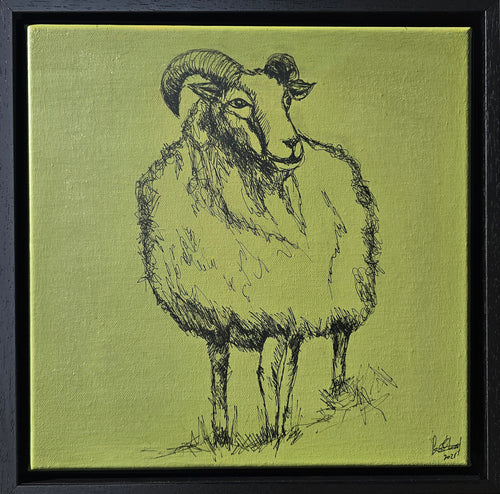 Irish ram along the Wild Atlantic Way in black ink