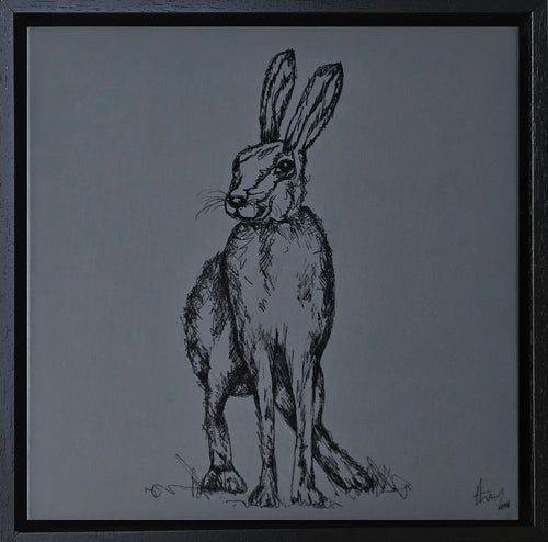 Original sketch on Antharcite grey background of Irish hare in black ink