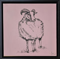 Sketch of a connemara ram on a dusty pink background