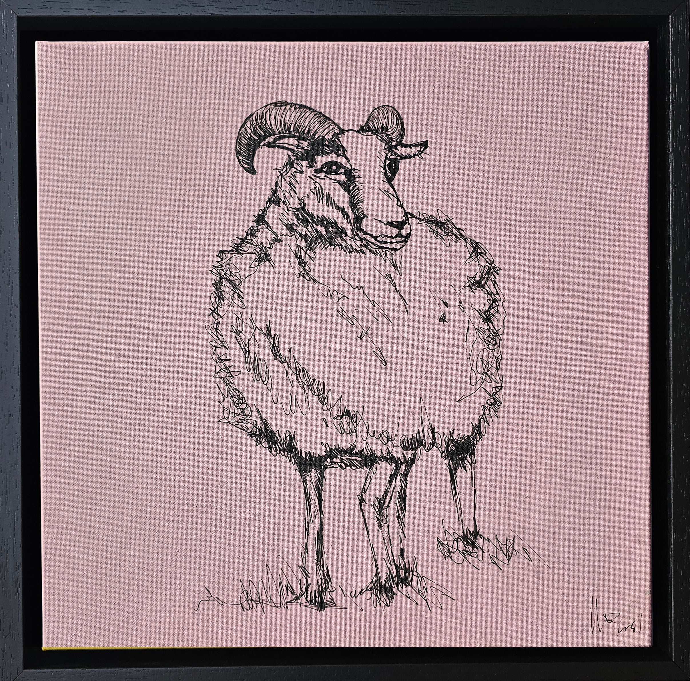 Sketch of a connemara ram on a dusty pink background